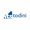 ITS Todini