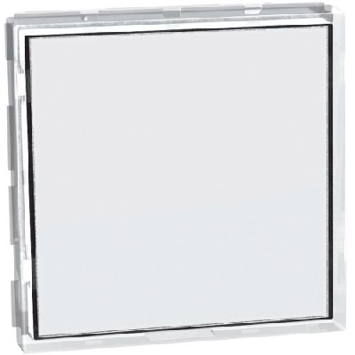 BTicino MatixGo Pulsante targa portanome J4040